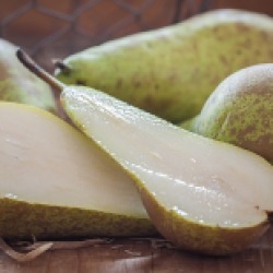 Pera / Pear